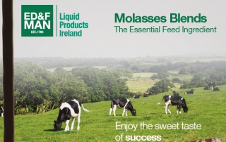 Molasses Blends - The Essential Feed Ingredient