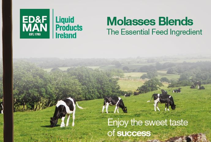 Molasses Blends - The Essential Feed Ingredient